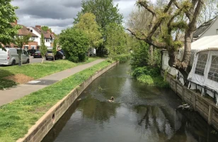 Woodlands Riverside Walk(1)